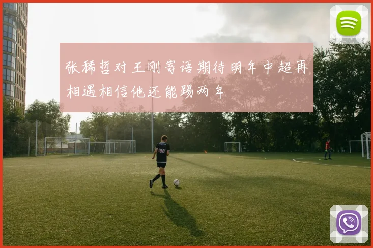 张稀哲对王刚寄语期待明年中超再相遇相信他还能踢两年