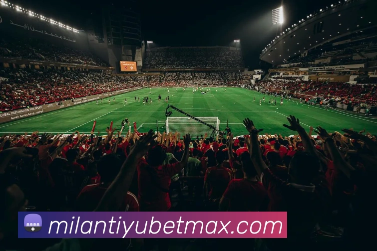 米兰体育APP 封面图